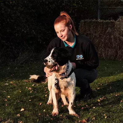 Search dog advice